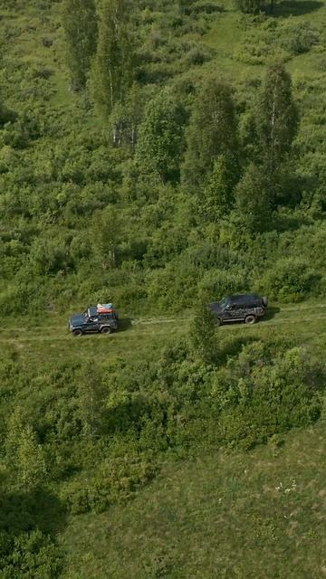 Пошехоно-Володарская узкоколейная железная дорога смотреть онлайн