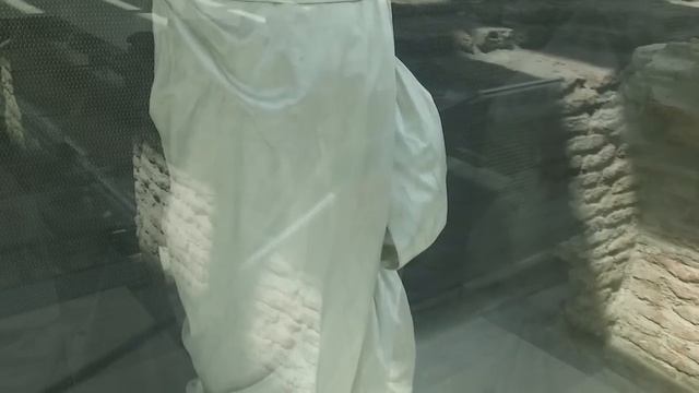 Vestido de Gala Eva de Peron смотреть онлайн