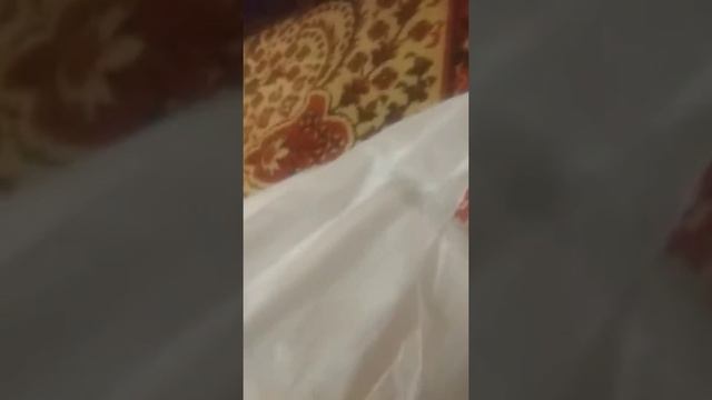 Целый пакет сладостей😘😘😘😍😍😍😍😍😍😚😚😚😚 смотреть онлайн