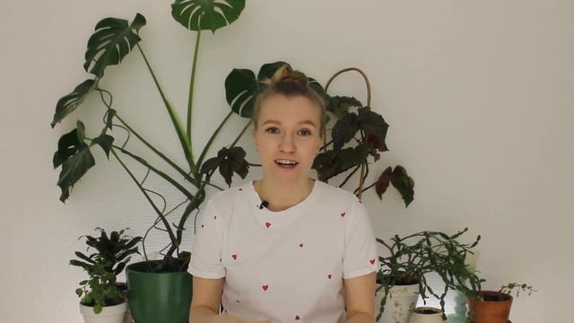 ЧТО ПОЧИТАТЬ? Я путешествую одна. Детектив.