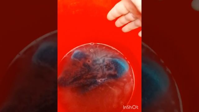 Помогаем животному при выпадении матки после отела смотреть онлайн