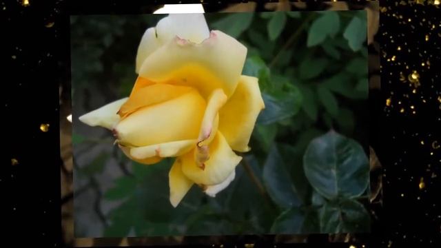 Geoff Love '' Love Story '' ~ ***** смотреть онлайн
