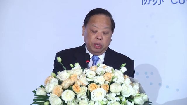 2019 Sino-German Sustainability Summit (4/10) - WANG Jiming смотреть онлайн