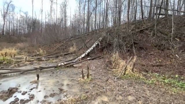 КФХ Идиятуллин. В ускоренном режиме готовимся к зиме / Получилось съездить к нашему табуну лошадей смотреть онлайн