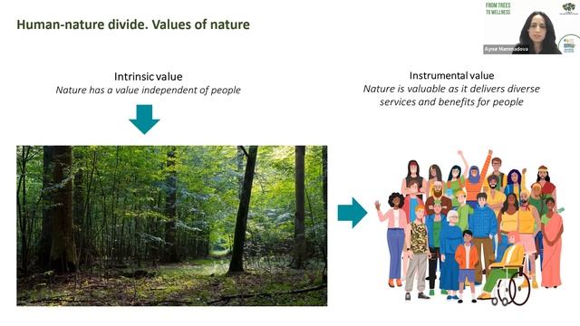 WFF Masterclass: From trees to wellness: how forests benefit our mind and body смотреть онлайн