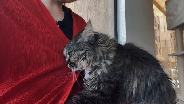 Дубайский влог! Что интересного в Дубае?