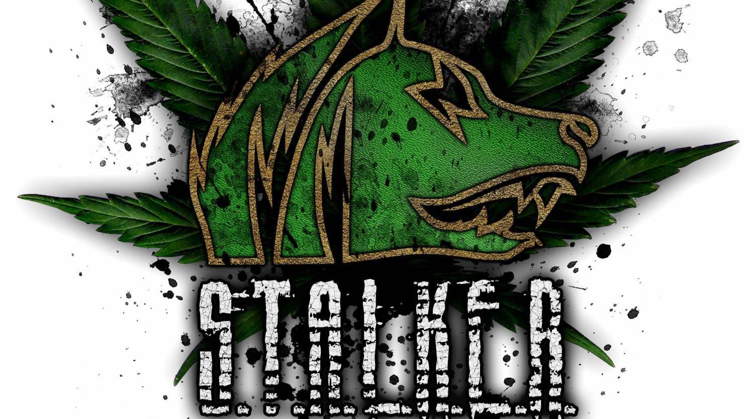 Песня группировки 