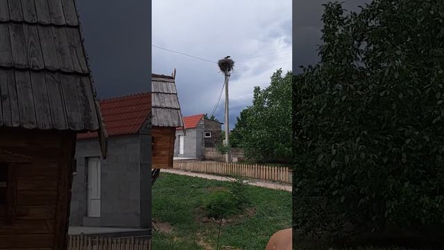 02 мая 21 ахавнатун смотреть онлайн