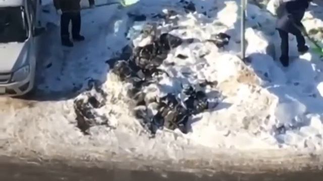 Ижевские коммунальщики закидали мешки с мусором снегом смотреть онлайн