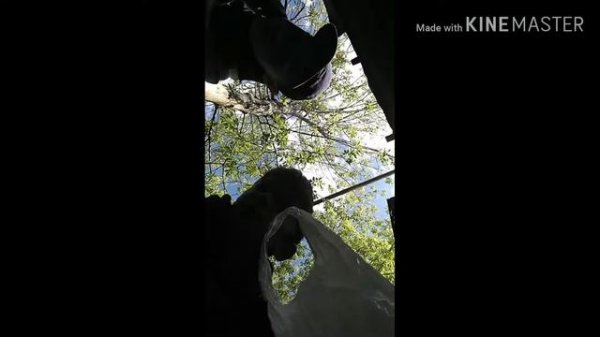 Мажор 1 сезон 1 серия