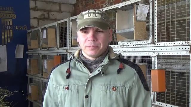 Про Акцию, МсК и о жизни начинающего кроликовода:) смотреть онлайн