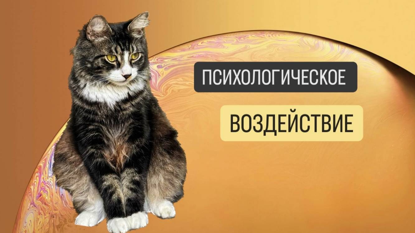 ПСИХОЛОГИЧЕСКОЕ ВОЗДЕЙСТВИЕ
