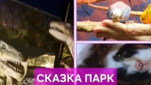 Парк Сказка. Январь 2025