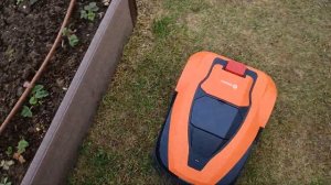 Робот газонокосилка Robokos  RM 600i. Первая  установка и обзор работы. #robokos #robomower #робот