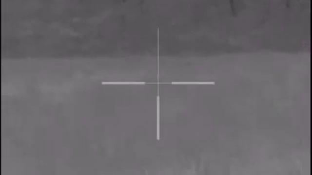 pulsar XP50 hogs смотреть онлайн