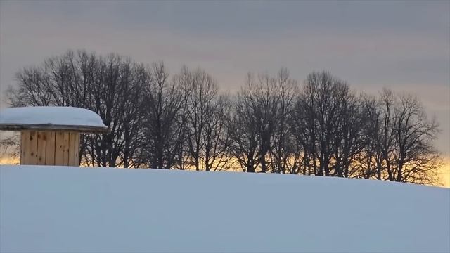 Семейная ферма в деревне/ К нашему сожалению одна из кобыл абортировалась/ Деревенская жизнь смотреть онлайн