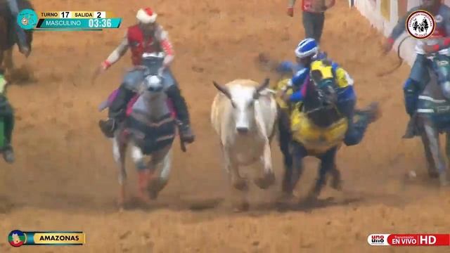 Freddy Borrego y Barba Negra Campeones de la copa 65 aniversario FEVECO todas las coleadas смотреть онлайн