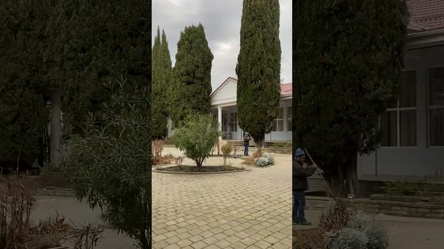 Морская Даль территория смотреть онлайн