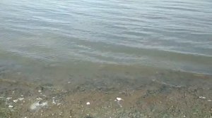 Близнец 1 - 4 серии | Детектив 2021