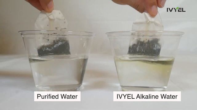IVYEL Alkaline Water Ionizer Green Tea Test : Purified water vs IVYEL Alkaline water смотреть онлайн