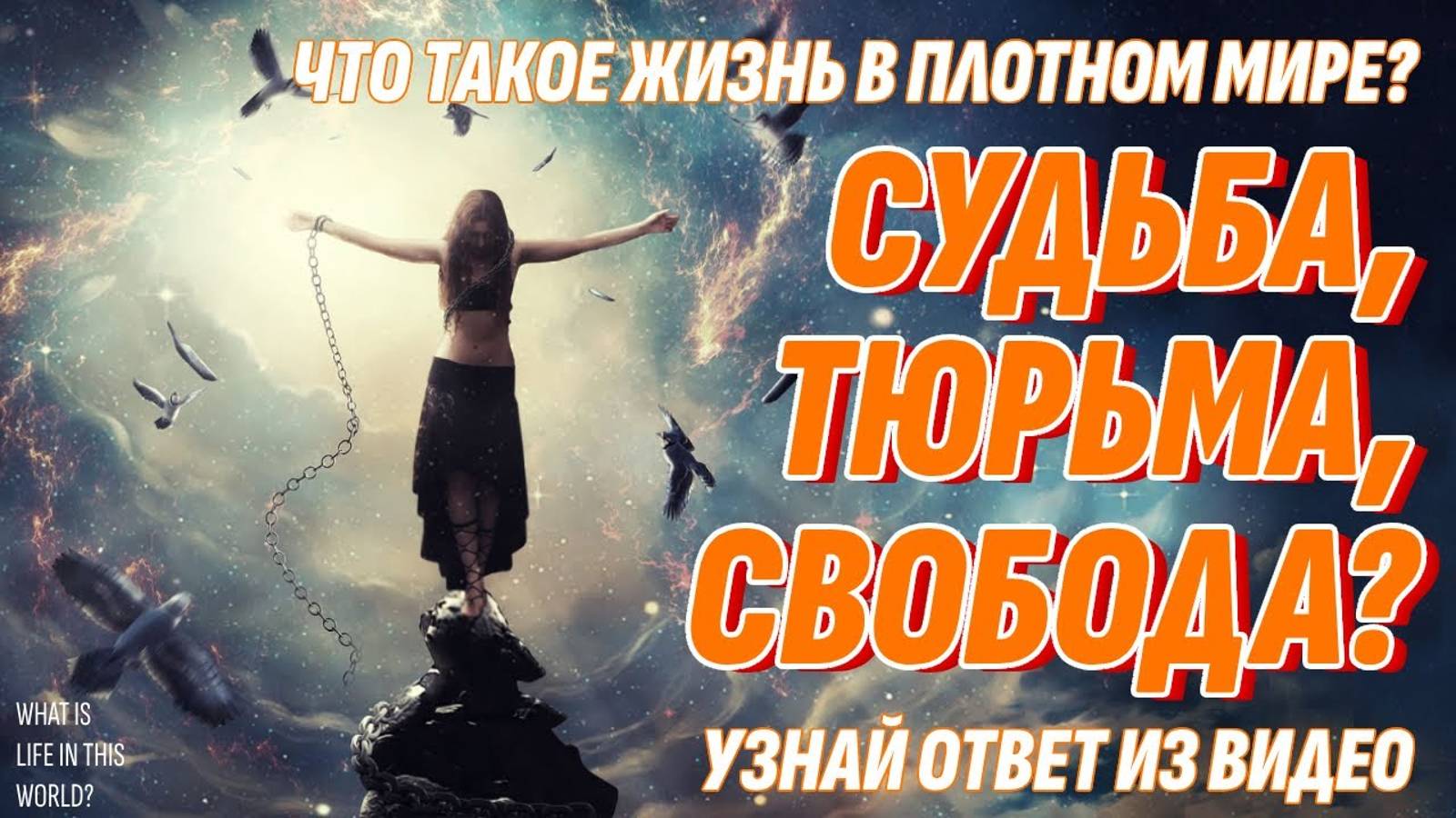 Жизнь на Земле - это Судьба, Тюрьма или Свобода? Ответ в видео смотреть онлайн
