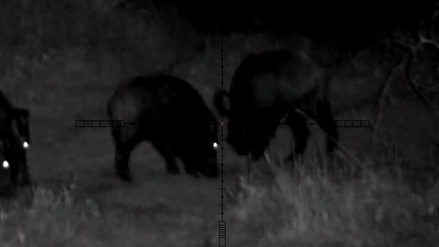 pulsar Digex n455 wild Hogs 60m смотреть онлайн