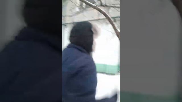 Обзор дерева :) РЕКЛАМА АРЕНДЫ МОЕГО ДРУГА (ОНА СКРЫТАЯ). смотреть онлайн