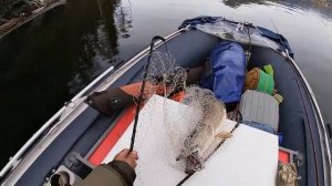 СШ ВДХР  сентябрь 2021 г.