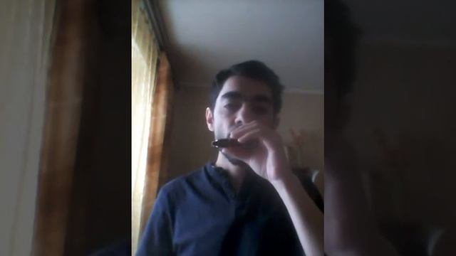 Упражнение по ритмической гармошке/Rhythmic harmonica exercise смотреть онлайн