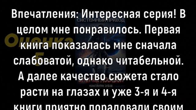 Видео обзор книг №115: серия «Системный приход» (Константин Зубов). Жанр 