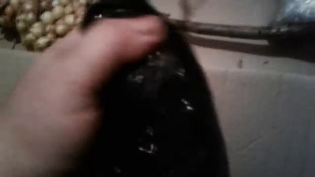 20191009 141156 смотреть онлайн