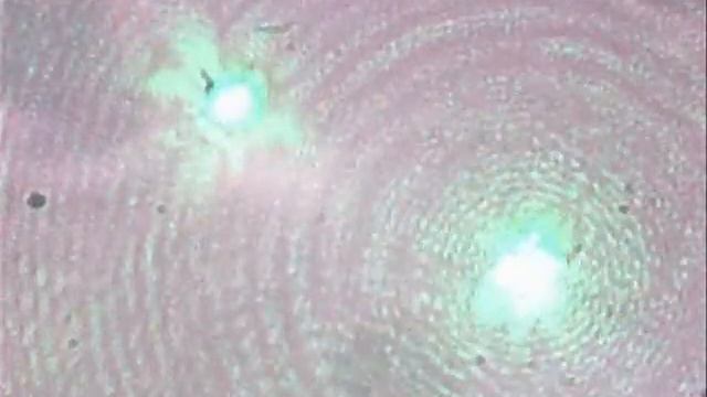 090216 dual trapping 2 micron spherotech latex edited смотреть онлайн
