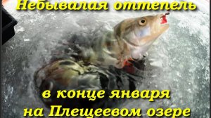Небывалая оттепель в конце января на Плещеевом озере