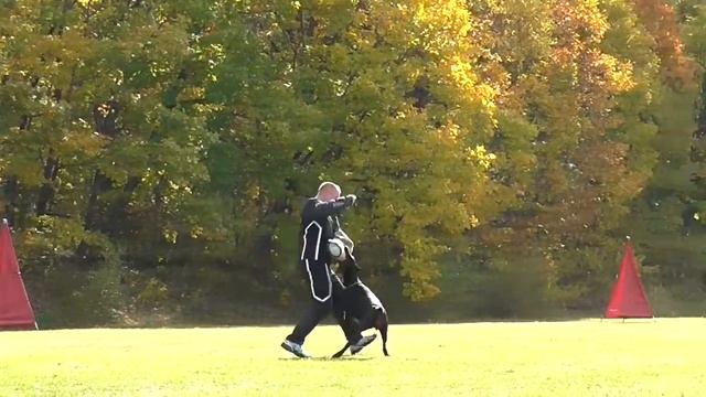 6.ЮМА МИРАКЛ ИЗ БАНДЫ ГАРРИ, IGP-1, раздел С