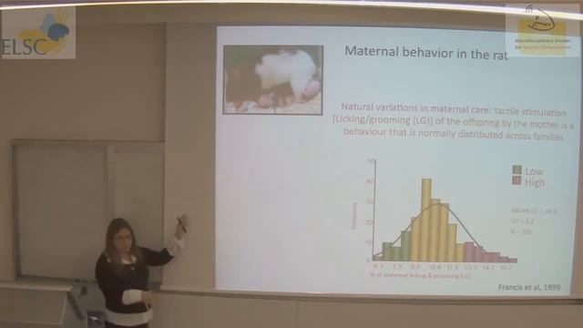 ELSC-ICNC Seminar: Daniela Kaufer смотреть онлайн