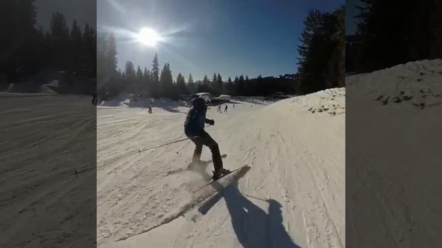 Berry Tors 2020 смотреть онлайн