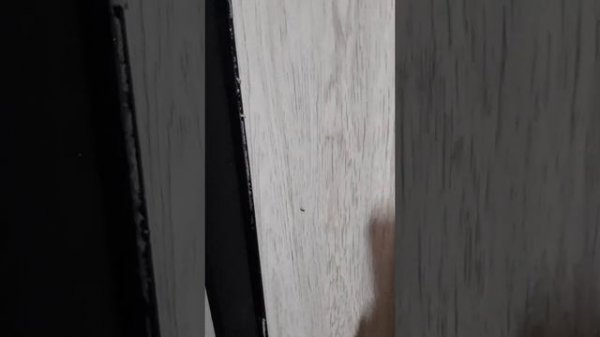 Дверь Центурион Т2