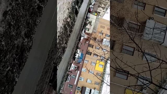 29-01-2025 смотреть онлайн