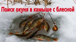 Поиск окуня в камыше с зимней блесной. Зимняя блесна Лексик