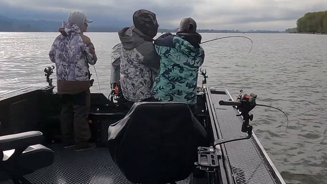 Springing into Action: First Springer Fishing of the Year! смотреть онлайн