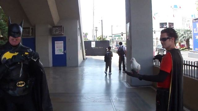 Maxwell Allen: Batmax Acts Nervous When Approached (September 8, 2012) смотреть онлайн
