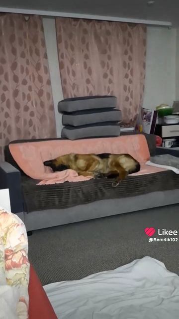 Доброй ночи✨️✨️✨️ смотреть онлайн