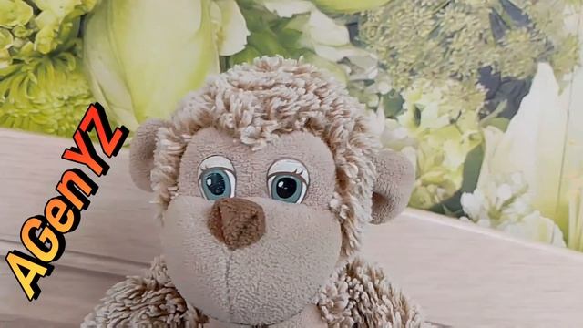 🐒🌿Сильный иммунитет- крепкое здоровье с AGenYZ🌿 смотреть онлайн