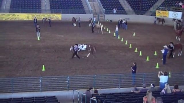 Kasey Landrum and Tucker- Winning Senior Showmanship Patter 2010! смотреть онлайн