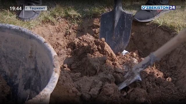 Мероприятия по всенародному хашару в Ташкенте смотреть онлайн