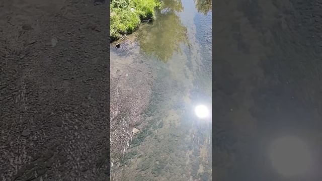 мой первый клип смотреть онлайн