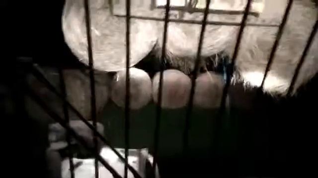 Укладка рулонов в поле смотреть онлайн