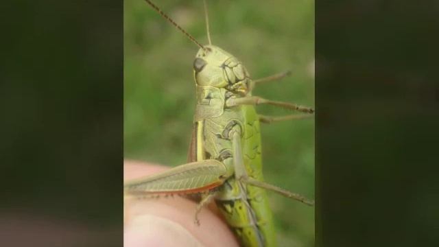 Миньяо живая природа,фотки лета 2016