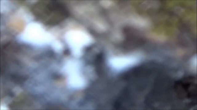 Προσβολή δένδρου μηλιάς από Ματόψειρα ή Βαμβακάδα (Eriosoma lanigerum Hausmann) смотреть онлайн