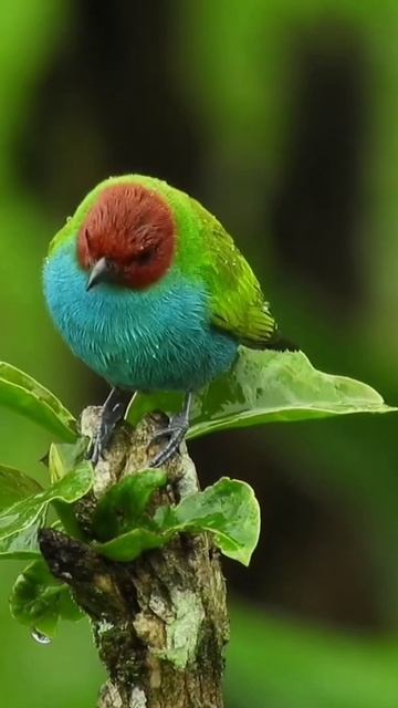 #beautiful #relaxing #music смотреть онлайн